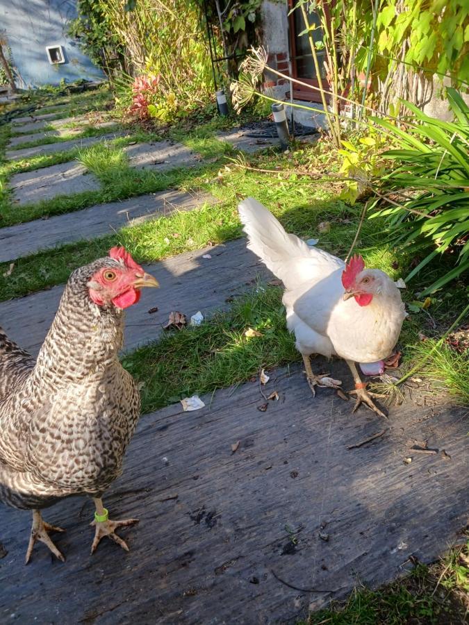 Logement Entier - Le Pigeonnier De La Plume Nantes Eksteriør bilde